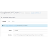 Google reCAPTCHA v2/v3 + Admin protection Google reCAPTCHA v2/v3 + Admin protection